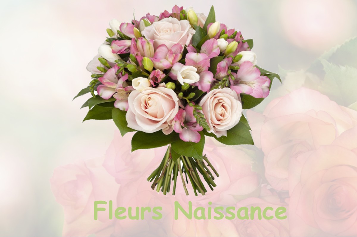 fleurs naissance QUET-EN-BEAUMONT