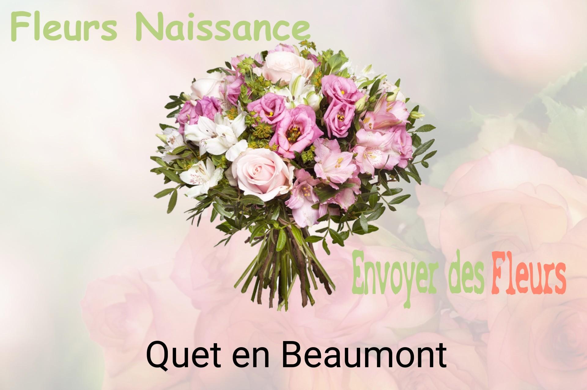 Bouquet de fleurs de naissance livré à Quet-en-Beaumont