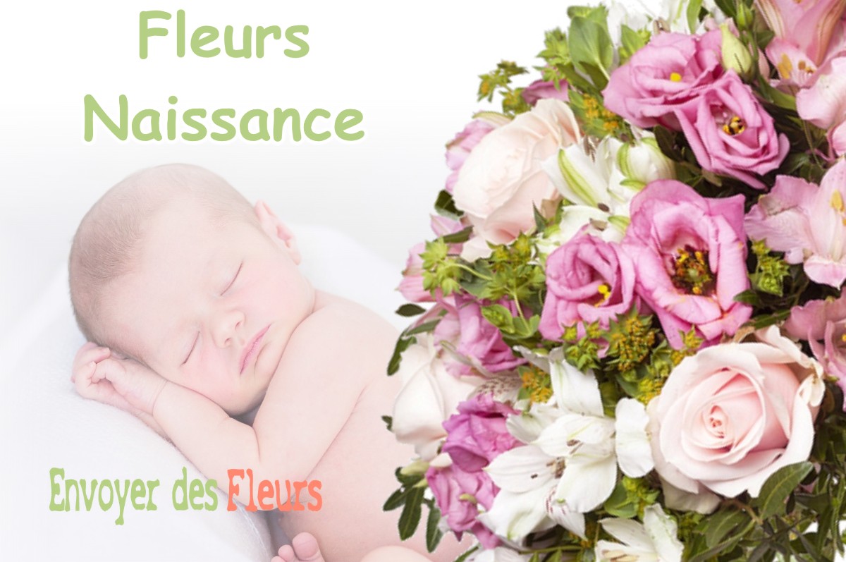 lIVRAISON FLEURS NAISSANCE à QUET-EN-BEAUMONT